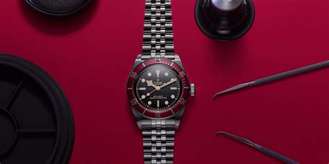 new tudor releases 2024